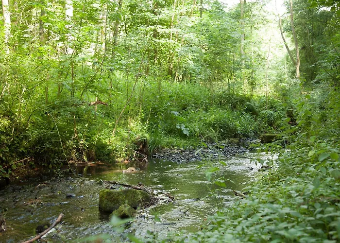 Cote Ghyll Mill Bed & Breakfast At Osmotherley Bed & Breakfast Ingleby Arncliffe