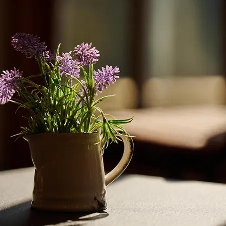 Cote Ghyll Mill Bed & Breakfast At Osmotherley Bed & Breakfast