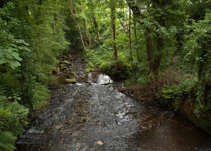 Cote Ghyll Mill Bed & Breakfast At Osmotherley Bed & Breakfast