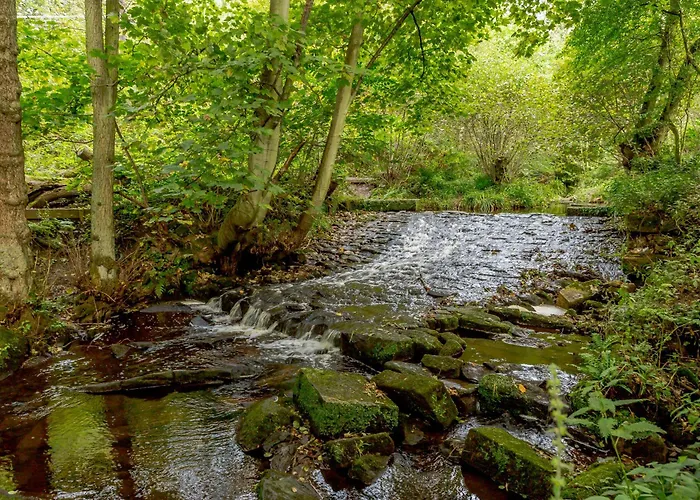 Bed & Breakfast Cote Ghyll Mill Bed & Breakfast At Osmotherley 3*