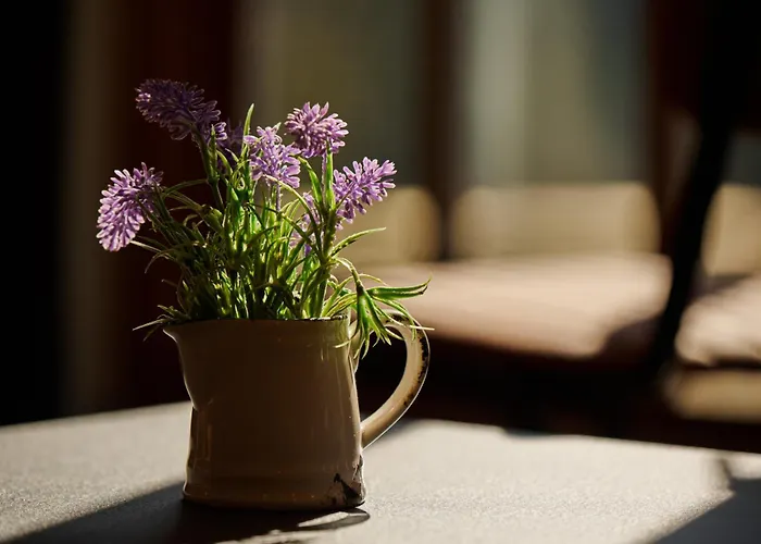 Cote Ghyll Mill Bed & Breakfast At Osmotherley Bed & Breakfast