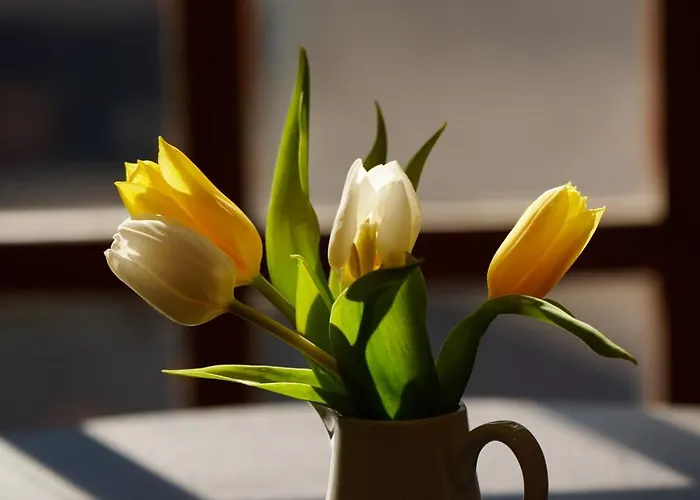 Cote Ghyll Mill Bed & Breakfast At Osmotherley 3* Ingleby Arncliffe